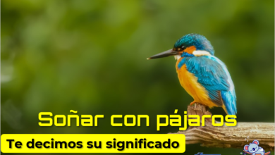 Soñar con pajaritos ¿Qué significa?