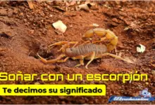Soñar con un escorpión ¿qué significa?