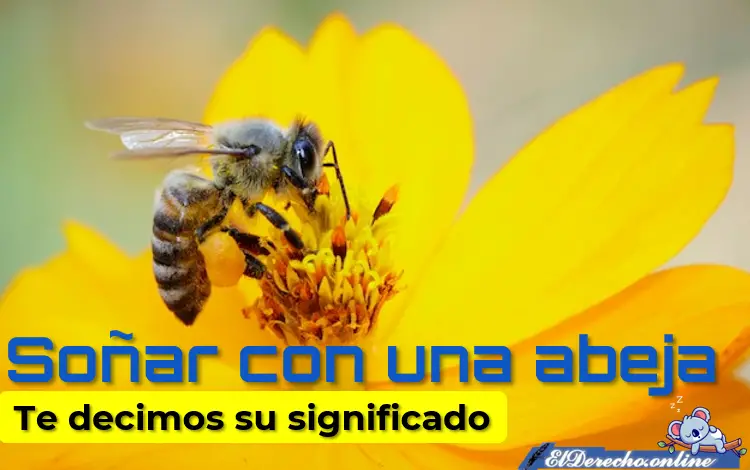 Soñar con una abeja ¿Qué significa?