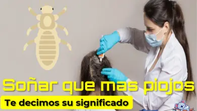 Soñar que matas piojos ¿qué significa?