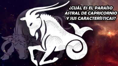 ¿Cuál es el paraíso astral de Capricornio y sus características?