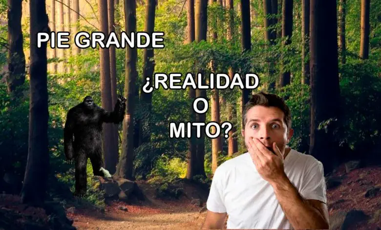 ▷ ¿Pie grande, "Sasquatch" o el hombre de las nieves son reales? » 2023 El Derecho Online 🥇 pie-grande-sasquatch-o-el-hombre-de-las-nieves-son-reales