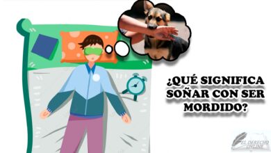 ¿Qué significa soñar con ser mordido?