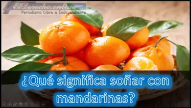 ¿Qué significa soñar con mandarinas?