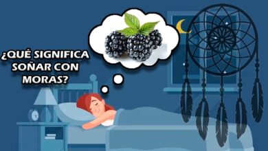 ¿Qué significa soñar con moras?