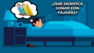 ¿Qué significa soñar con pájaros?