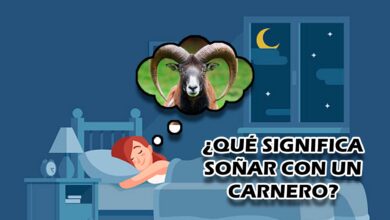 ¿Qué significa soñar con un Carnero?