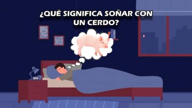 ¿Qué significa soñar con un cerdo?