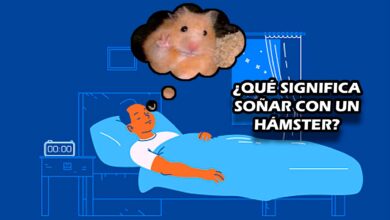 ¿Qué significa soñar con un hámster?