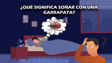 ¿Qué significa soñar con una garrapata?