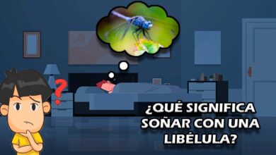 ¿Qué significa soñar con una libélula?