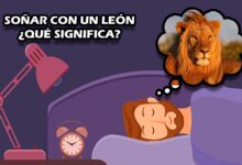 Soñar con un león ¿Qué significa?