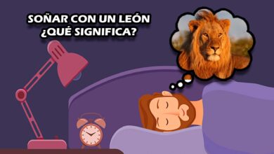 Soñar con un león ¿Qué significa?