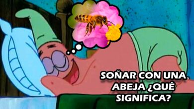 Soñar con una abeja ¿Qué significa?