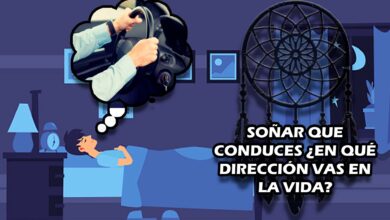 Soñar que conduces ¿En qué dirección vas en la vida?