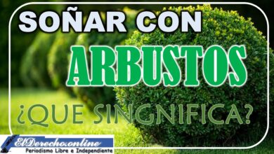 Soñar con Arbustos