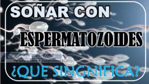 ▷ Soñar con Esperma ¿Qué significa este sueño? » 2023 El Derecho Online 🥇 Soñar con Espermatozoides