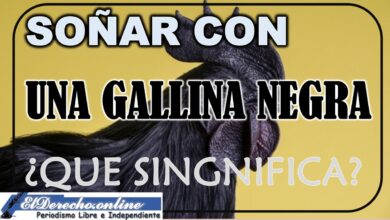 Soñar con una Gallina Negra