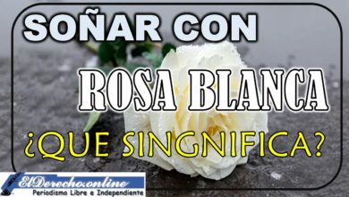 Soñar con Rosa Blanca