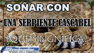 Soñar con Serpiente de Cascabel