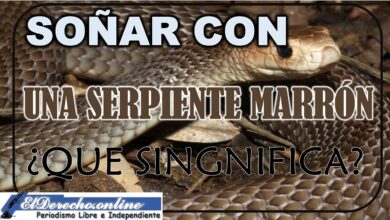 Soñar con Serpiente Marrón