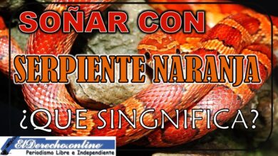 Soñar con una Serpiente Naranja