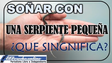 Soñar con Una Serpiente Pequeña