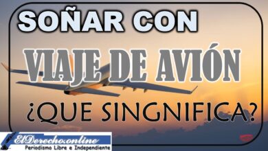 Soñar con Viaje de Avión