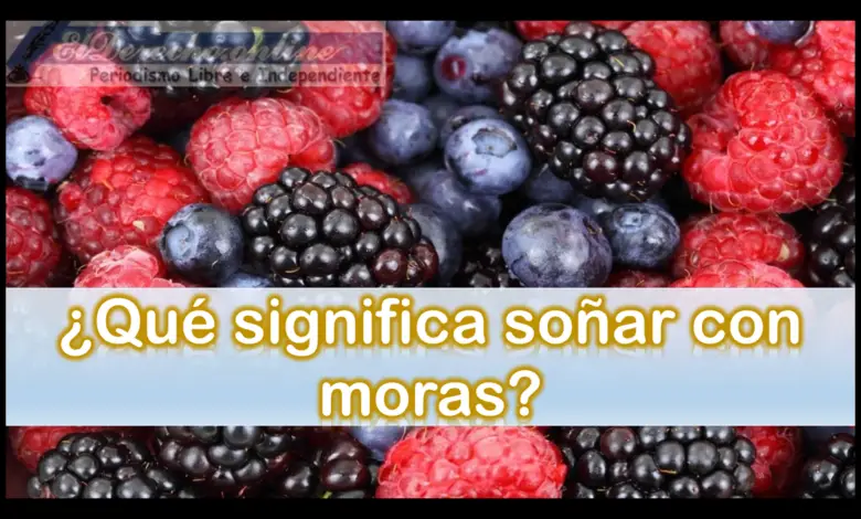 ▷ ¿Qué significa soñar con moras? » 2023 El Derecho Online 🥇 ¿Qué significa soñar con moras?