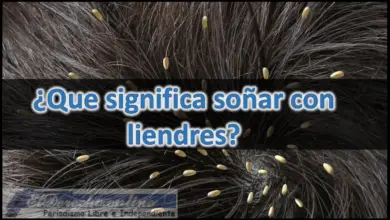 Soñar con Liendres ¿Qué significa este sueño?