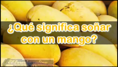 Soñar con un Mango ¿Qué significa este sueño?