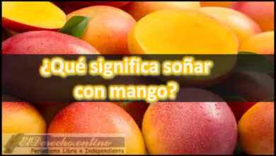 Soñar con Mango ¿Qué significa este sueño?