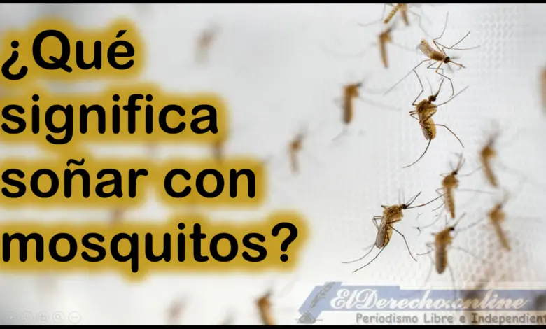 Soñar con Mosquitos ¿Qué significa este sueño?