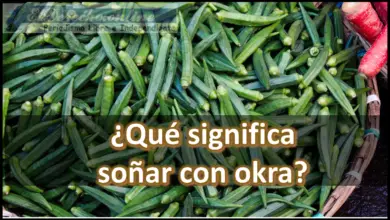 Soñar con Okra ¿Qué significa este sueño?