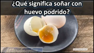Soñar con un Huevo podrido ¿Qué significa este sueño?