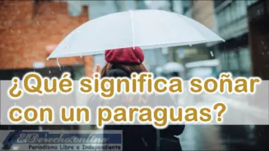 Soñar con un Paraguas ¿Qué signigica este sueño?