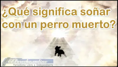 Soñar con un Perro muerto ¿Qué significa este sueño?