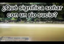 Soñar con un Río sucio ¿Qué significa este sueño?