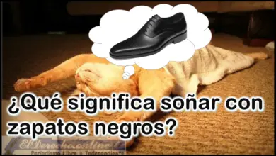 Soñar con Zapatos negros ¿Qué significa este sueño?