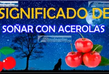 Soñar con Acerola ¿Qué significa este sueño?