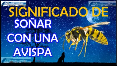 Soñar con una Avispa ¿Qué significa este sueño?