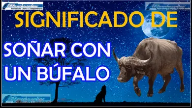 Soñar con un Búfalo ¿Qué significa este sueño?