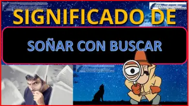 Soñar con Buscar ¿Qué significa este sueño?