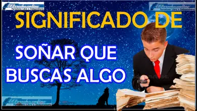 Soñar que Busca algo ¿Qué significa este sueño?