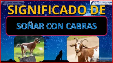 Soñar con Cabras ¿Qué significa este sueño?