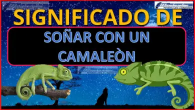 Soñar con un Camaleón ¿Qué significa este sueño?