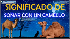 ▷ Soñar con un Camello ¿Qué significa este sueño? » 2023 El Derecho Online 🥇 Soñar con un Camello ¿Qué significa este sueño?
