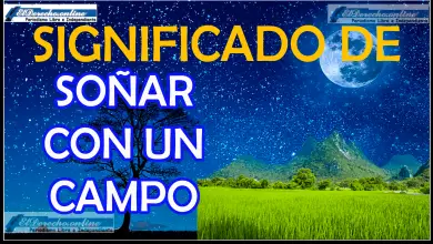 Soñar con Campos ¿Qué significa este sueño?