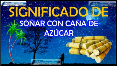 Soñar con caña de azúcar ¿Qué significa este sueño?