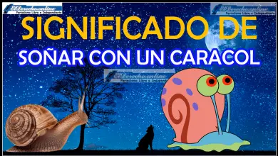 Soñar con un Caracol ¿Qué significa este sueño?